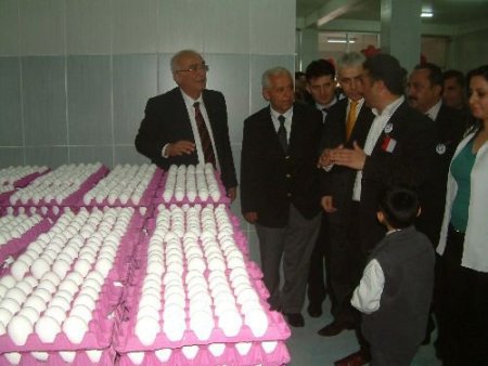 Çukurova Kalkınma Ajansı Meyvelerini Toplamaya Başladı