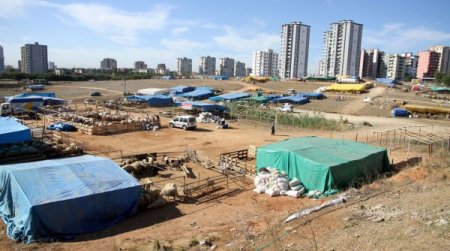 Çukurova’da kurban satış ve kesim yerleri belirlendi