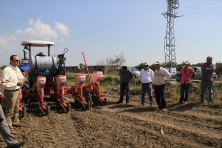 Çukurova'daki Mısır Üretiminde Yeni Dönem Başladı