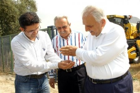 Çukurova’nın ilk buğday hasadı yapıldı