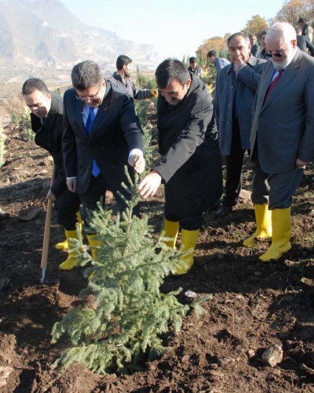 Cumhurbaşkanı Abdullah Gül adına 10 bin fidan dikildi