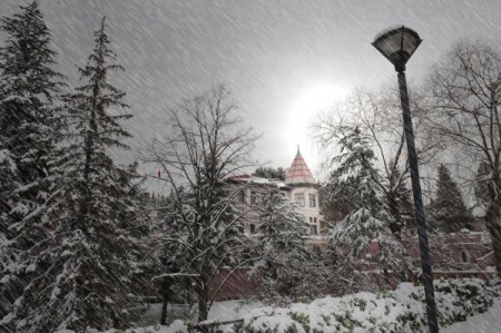 Cumhurbaşkanı Gül, 2012 yılında en beğendiği 10 fotoğrafı paylaştı