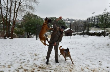 Cumhurbaşkanı Gül, 2012 yılında en beğendiği 10 fotoğrafı paylaştı