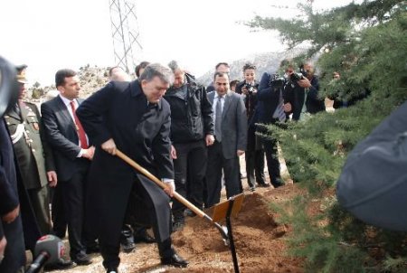 Cumhurbaşkanı Gül, İsmi Merak Konusu Olan Torunu Adına Ağaç Dikti