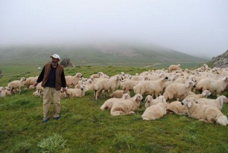 Cumhurbaşkanı Gül İle Görüşen Çoban Çok Heyecanlanmış