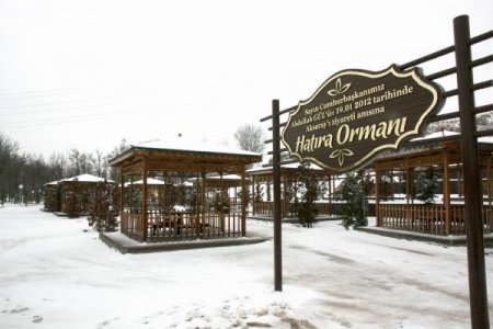 Cumhurbaşkanı Gül’ün Ziyareti Anısına Hatıra Ormanı