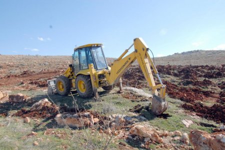 Cumhurbaşkanı Gül’ün ziyareti anısına hatıra ormanı