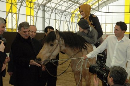 Cumhurbaşkanı GülUşak'ta cirit attı, ata şeker verdi