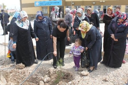 D-KADER üyeleri fidan dikti