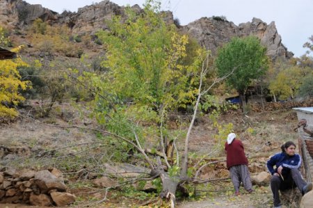 Dağdan kopan kaya, mahalle halkını korkuttu