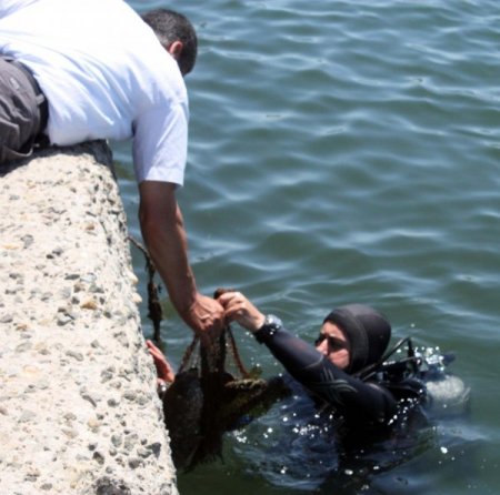 Dalgıçlar Denizi, Öğrenciler Sahili Temizledi
