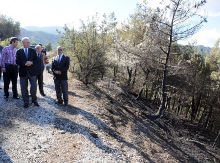 Daşöz: Yangında sabotaj önemli ihtimallerden biri olarak ön plana çıkıyor