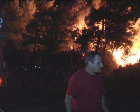 Datça'daki orman yangını kontrol altına alındı