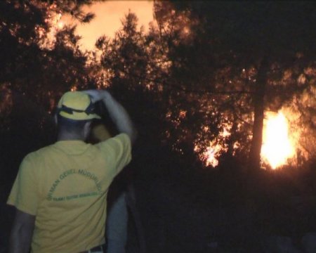 Datça'daki orman yangını kontrol altına alındı