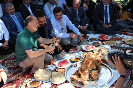 'Davetsiz misafir' Gölhisar’a misafir oldu