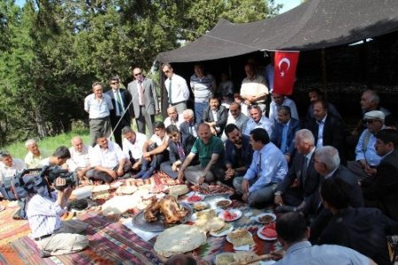 'Davetsiz misafir' Gölhisar’a misafir oldu