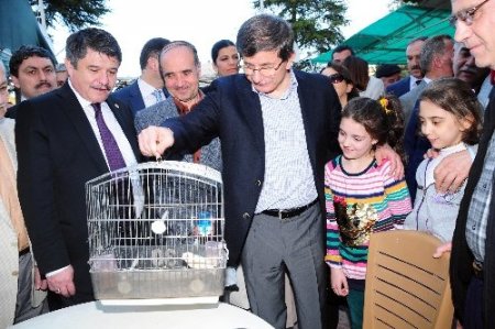 Davutoğlu, Dikilitaş'ı telefonla arayarak geçmiş olsun dileğinde bulundu