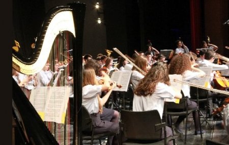 DÇSO ‘Notalar' müzikali birliği anlattı