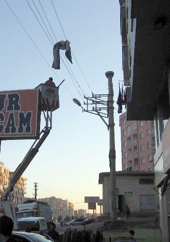 Dedaş'tan Halı Kurtarma Operasyonu