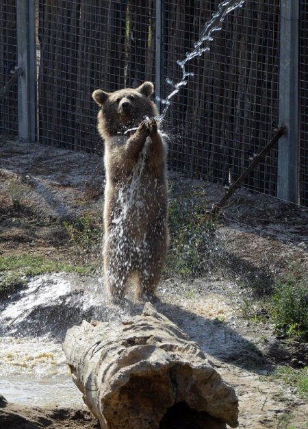 Değmeyin Duman'ın banyo keyfine