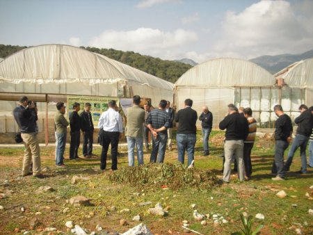 Demre'deki Seralarda Biyolojik Mücadele Dönemi Başladı