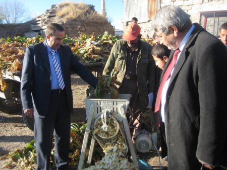 Deneme Amaçlı Üretilen Hayvan Pancarında Hasat Başladı
