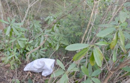 Dengesini kaybeden yaşlı kadın uçuruma yuvarlandı