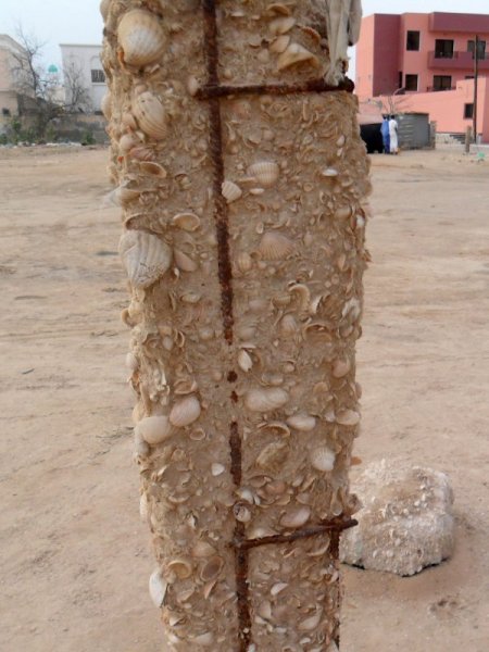 Deniz Kabuğundan Evler Yapmak