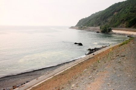 Deniz kirliliği vatandaşın tepkisini çekiyor