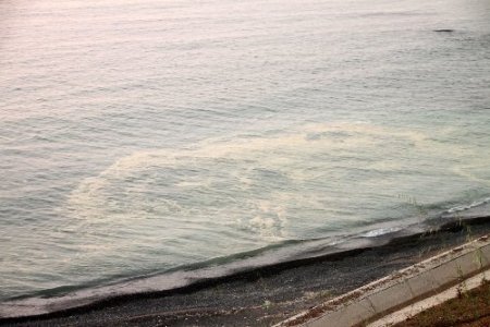 Deniz kirliliği vatandaşın tepkisini çekiyor