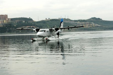 Deniz kuşu Gemlik'ten havalandı
