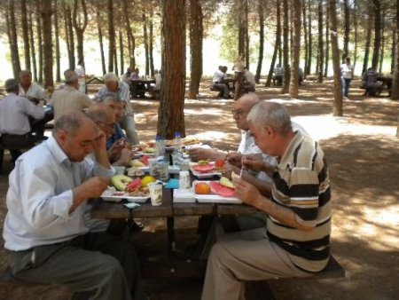 Denizbank Emeklileri Pikniğe Götürdü