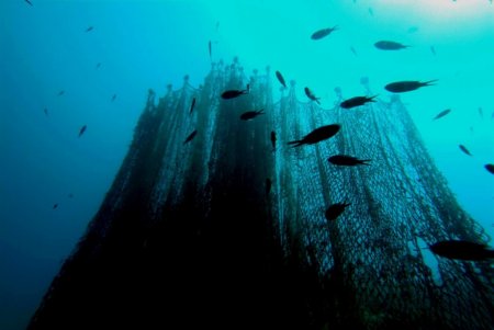 Denizdeki ‘hayalet ağlar’ temizlenecek