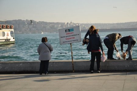 Denize düşen yaşlı adamı vatandaşlar kurtardı (Özel)