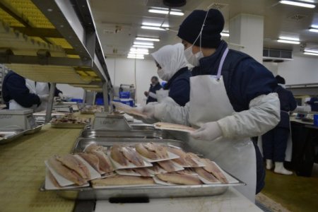 Denizi olmayan Kahramanmaraş, balık ihracatında ilk 3'e girdi