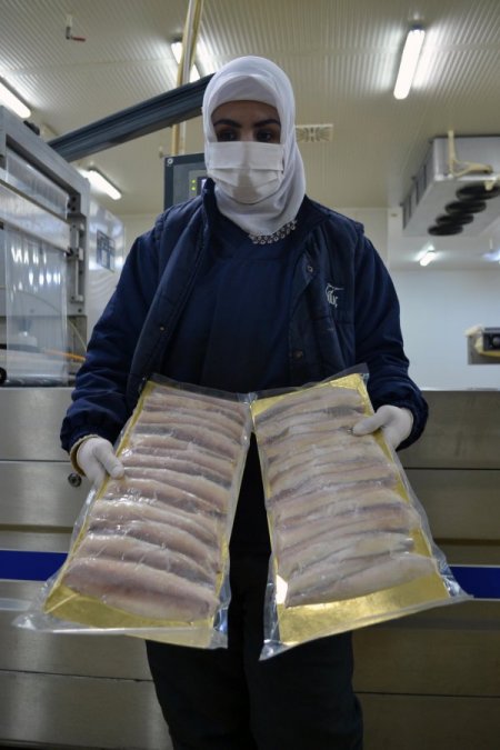 Denizi olmayan Kahramanmaraş, balık ihracatında ilk 3'e girdi