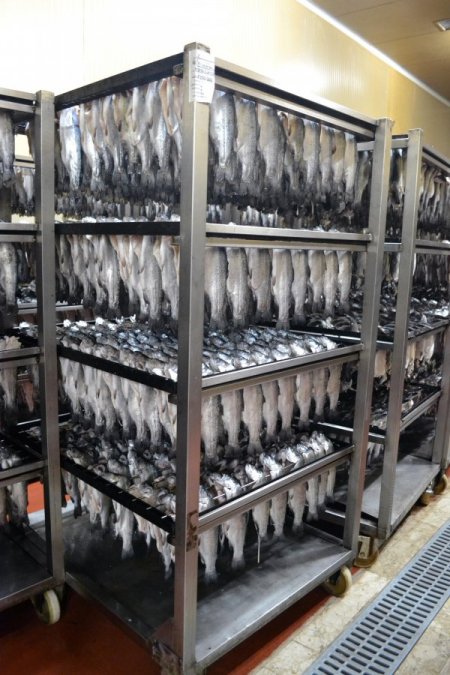 Denizi olmayan Kahramanmaraş, balık ihracatında ilk 3'e girdi