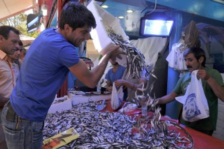 Denizin bereketi tezgaha yansıdı, Hamsi 1 Liradan satıldı