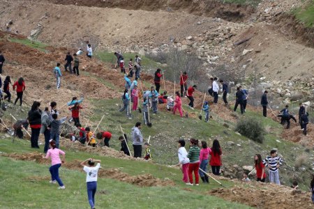 Denizli’de herkesin dikili bir ağacı olacak