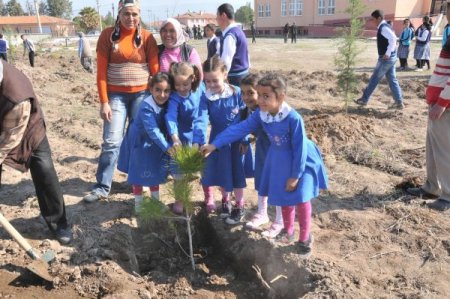Denizli’de Okul Bahçeleri Ağaçlandırılıyor