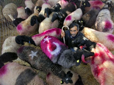 Denizli’nin kültürel güzellikleri fotoğraflarla belgelendi