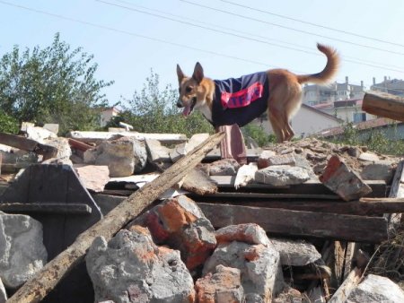 Deprem tatbikatında 2 yaralı enkazdan çıkarıldı