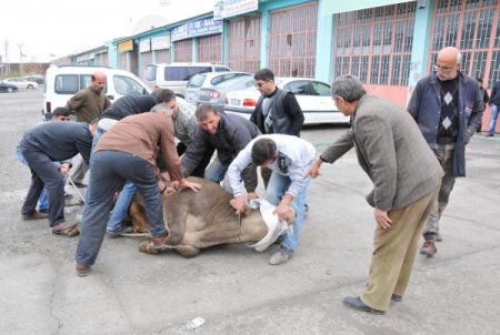 Depremzedeler, Kurban Bayramı'nı yeni evlerinde geçiriyor