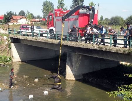 Dereden Kurtarılan At, Veteriner Beklerken Öldü