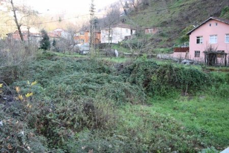 Derelerin bakımsızlığı, tehlike saçıyor