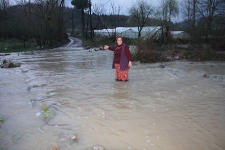 Derenin yükselmesiyle köprü su altında kaldı; kadınlar sudan geçmeye kalktı