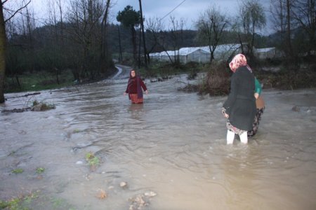 Derenin yükselmesiyle köprü su altında kaldı; kadınlar sudan geçmeye kalktı