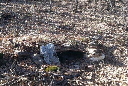 Dershane ve Gaziantep katliamlarını düzenleyen terörist öldürüldü