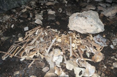 Dersim harekatında hayatını kaybedenlerin kemiklerine 76 yıl sonra ulaşabildi