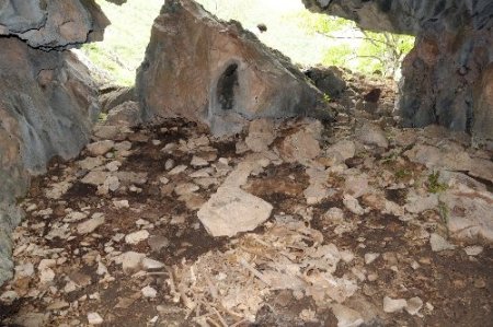 Dersim harekatında hayatını kaybedenlerin kemiklerine 76 yıl sonra ulaşabildi